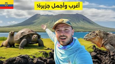 وصلت أغرب جزر العالم ولكن للأسف... 😭🇪🇨 جزر غالاباغوس