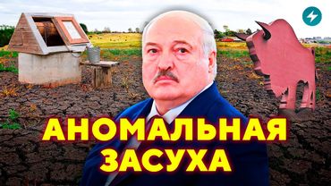Какие сюрпризы принесёт погода в 2025 в Беларуси? / Народ спросит