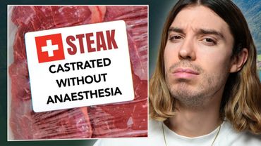 La Svizzera ha ingannato la comunità vegana?