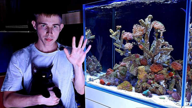 Кормление рыб в морском аквариуме закончилось взрывом