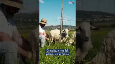 Ljube se dobri, loši, zli, al' nitko tako kao pršut i sir