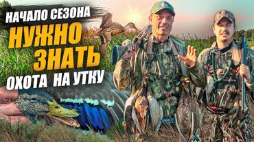 Тонкости охоты на утку в начале сезона
