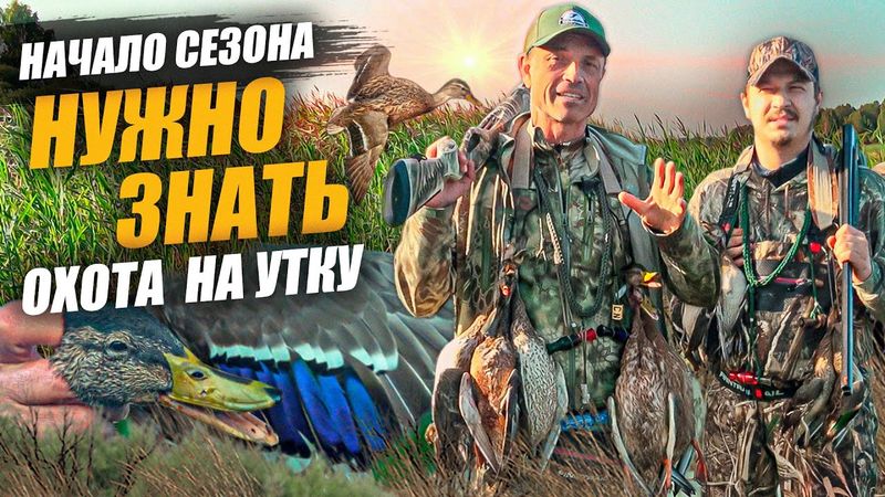 Тонкости охоты на утку в начале сезона