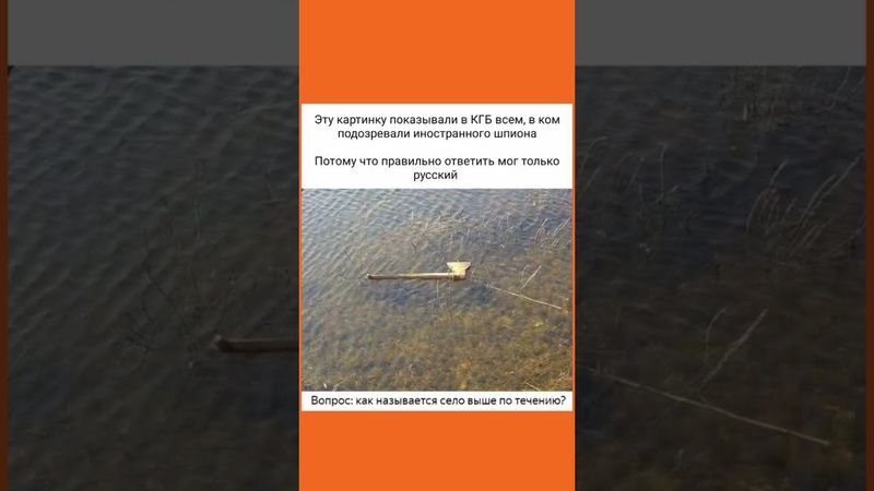 #funny #viralvideo #смех #весело #funnymoments #смехпродлеваетжизнь #юмор #прикол #шуточное