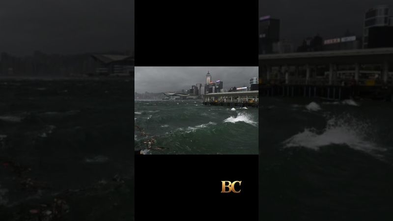 Typhoon Wipha topples trees and causes major flight disruptions in Hong Kong