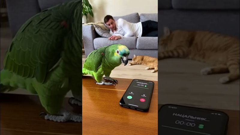 Попугай ответил БОССУ по телефону! Хозяин в Шоке🦜 #sora2 #viral #funny #попугай #юмор