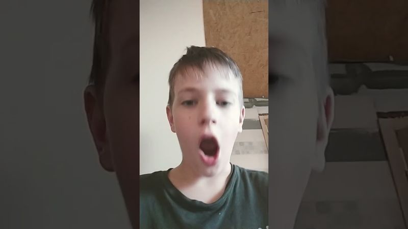 #симба #а4 #глент #майнкрафт