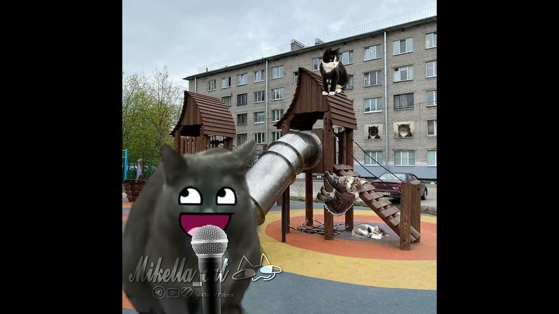 😃#умаляюзалети #cat #рек #активвернись #teameork #активнепадай #актив #мем #микелла #cute #Ыы #ت