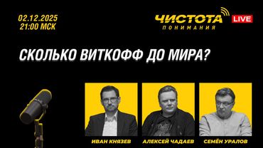Чистота понимания LIVE // Тема: Сколько виткофф до мира?