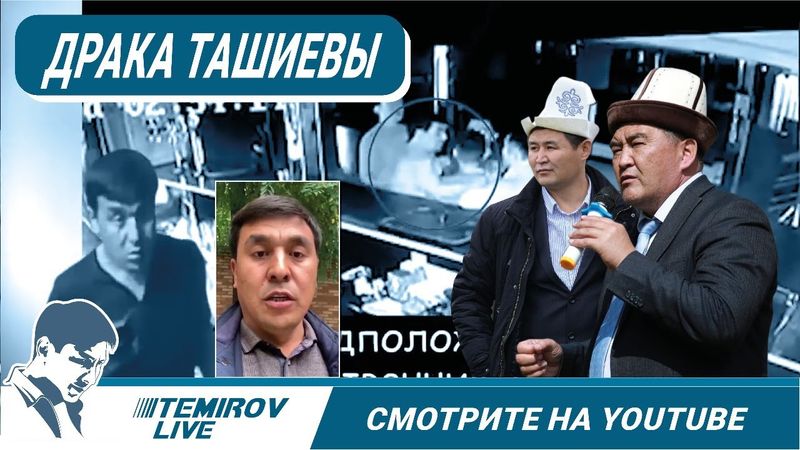 #Shorts Драка и Ташиевы.