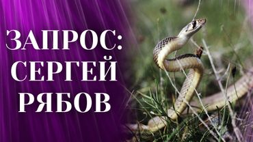 Гадюка укусила учёного — что он сделал дальше