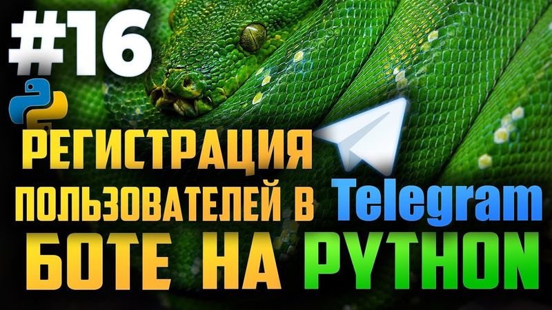 #16. Регистрация пользователей в телеграм боте на Python | Aiogram