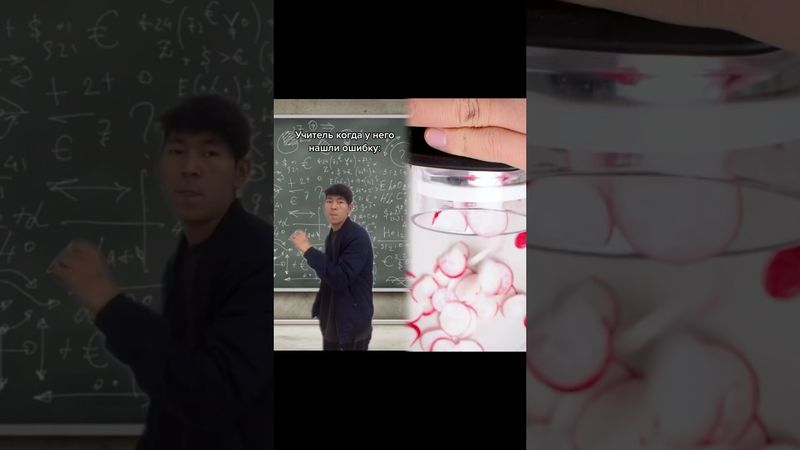 Ваши Учителя тоже так отмазывались? #учитель #школа #kamavine #ошибка