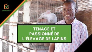 Burkina Faso: Tenace et passionné de l’élevage de lapins