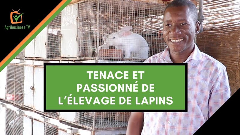 Burkina Faso: Tenace et passionné de l’élevage de lapins