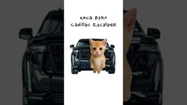 Киса покупает Cadillac Escalade #shorts