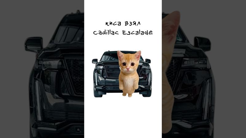 Киса покупает Cadillac Escalade #shorts