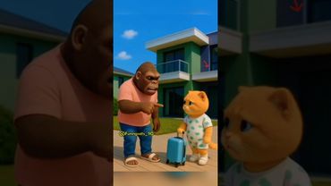 Orange kitten thrown out of the house #pets #catlovers #cutecat #cat