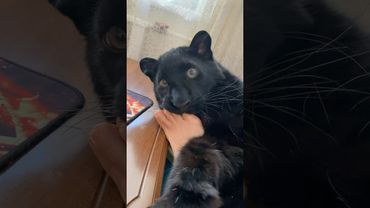 One of my favorite videos 😂