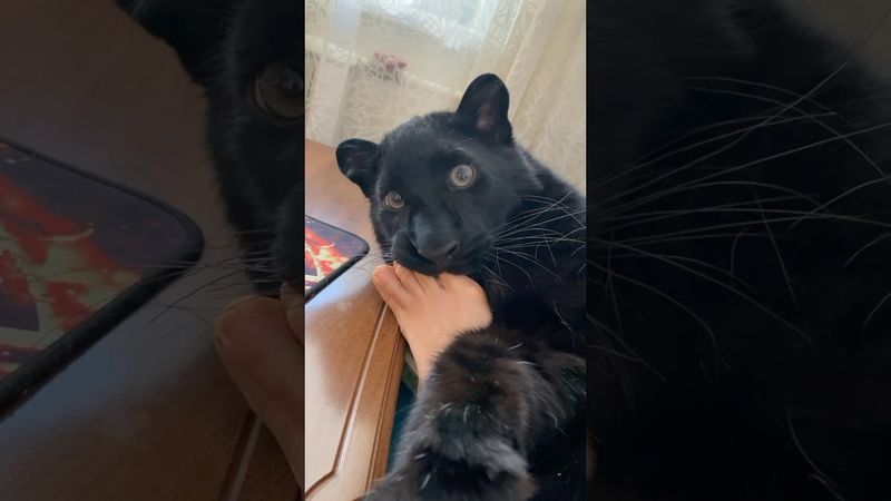 One of my favorite videos 😂