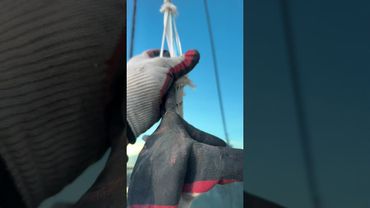 И такое бывает