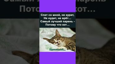 #смех #приколы  #мем