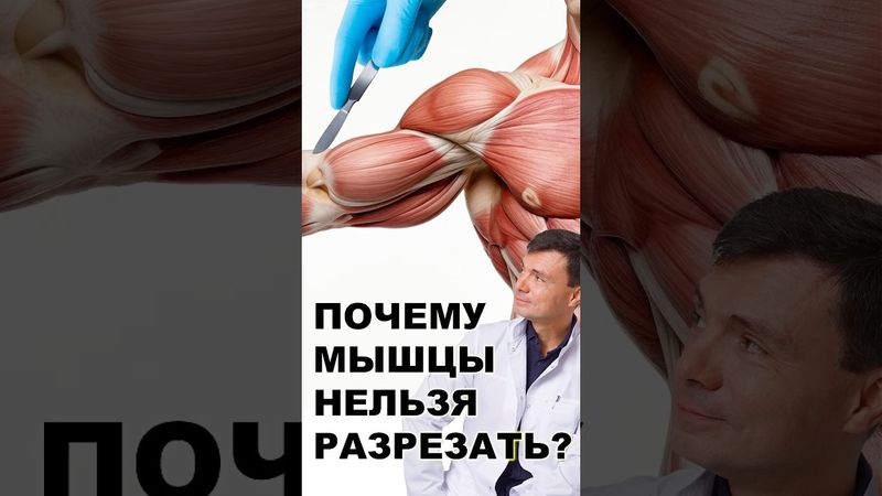 Простое и логичное объяснение от хирурга-ортопеда.