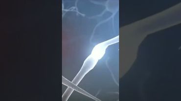 Как вырастить новые нейроны в своём мозге. Деревья жизни. @TheBlagost