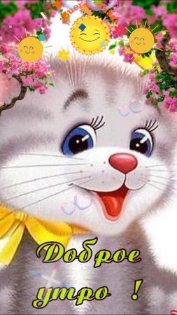 доброе утро