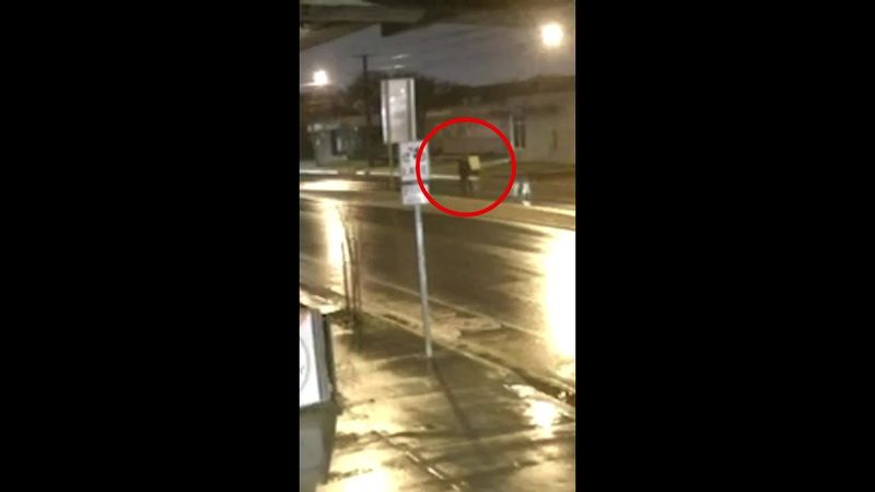 Man hit by car, killed in Adelaide’s west