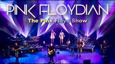 Shine On you Crazy Diamond - Pink Floyd cover performed by Pink Floydian