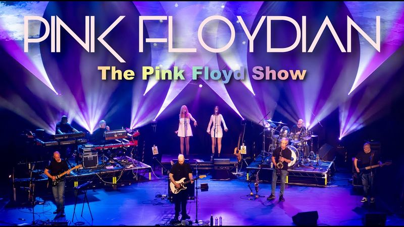 Shine On you Crazy Diamond - Pink Floyd cover performed by Pink Floydian