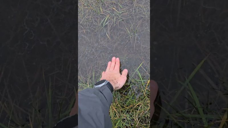 Настоящий релакс асмр