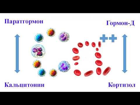 Кальций, гормон Д и паратгормон