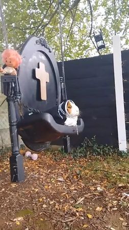 my guinea pig is a demon 