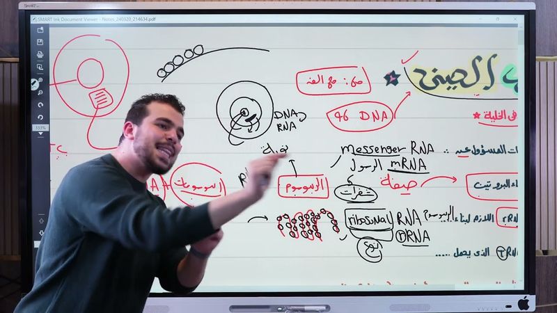 المحتوي الجيني والطفرات