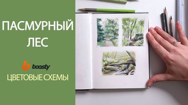 Пасмурный лес, цветовые схемы / Урок Boosty