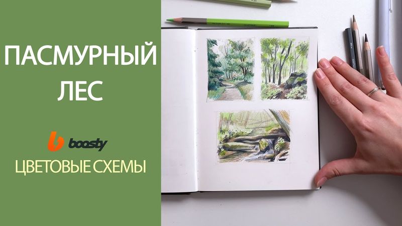 Пасмурный лес, цветовые схемы / Урок Boosty