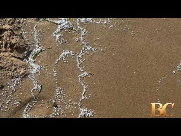 Beaches in Spain’s Valencia region closed after “unknown material” washes ashore