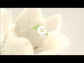 Рекламная заставка (ОТС (г. Новосибирск), весна-лето 2013-2015)