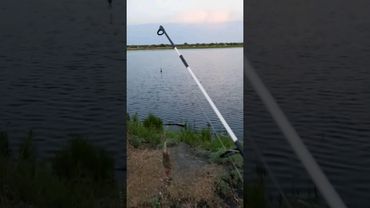 Когда живешь на берегу реки