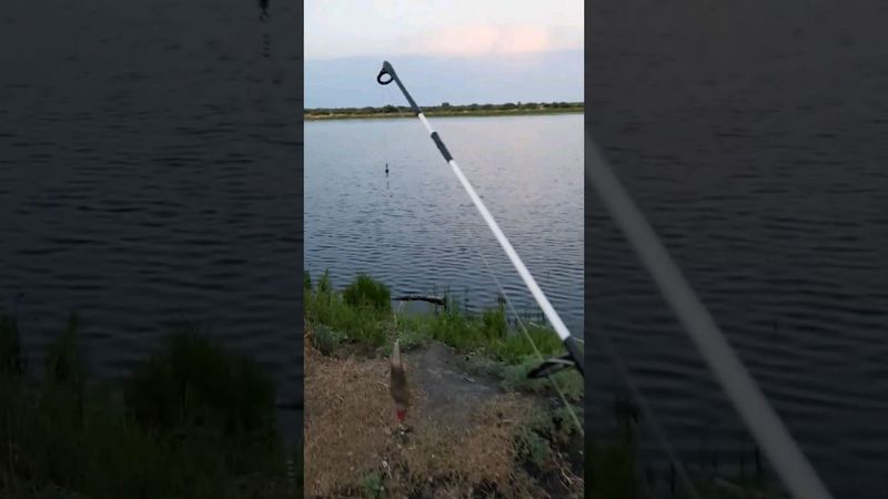 Когда живешь на берегу реки