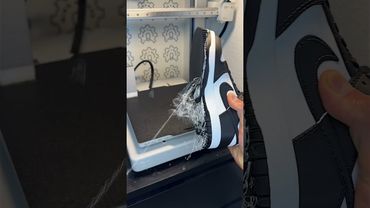 3D Printed Nike Panda Dunk Low