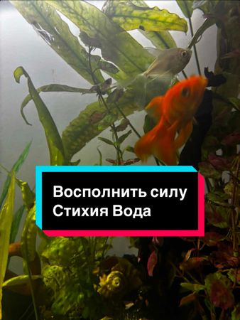 Под ночной луной стояла силы в себя питала великая вода сильная вода ...