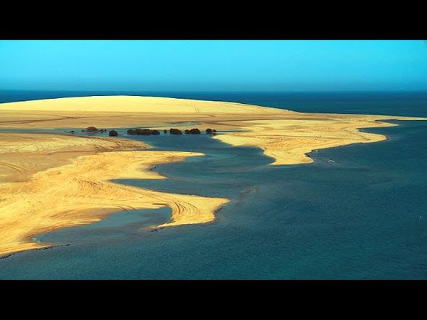 New climate-resistant initiatives underway in Qatar to conserve water in the desert | Qatar 365