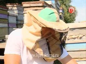 Пчеловод Александр Ступин из Добровского райо...