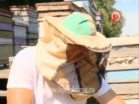 Пчеловод Александр Ступин из Добровского райо...