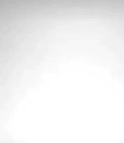 Rubik's cube cat #lowqualitymemes #LOLZYT #quandaledingle #meme #cat 