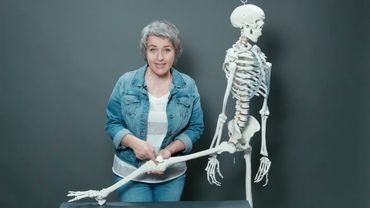 5 Коленный сустав.