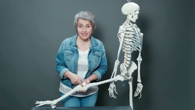 5 Коленный сустав.